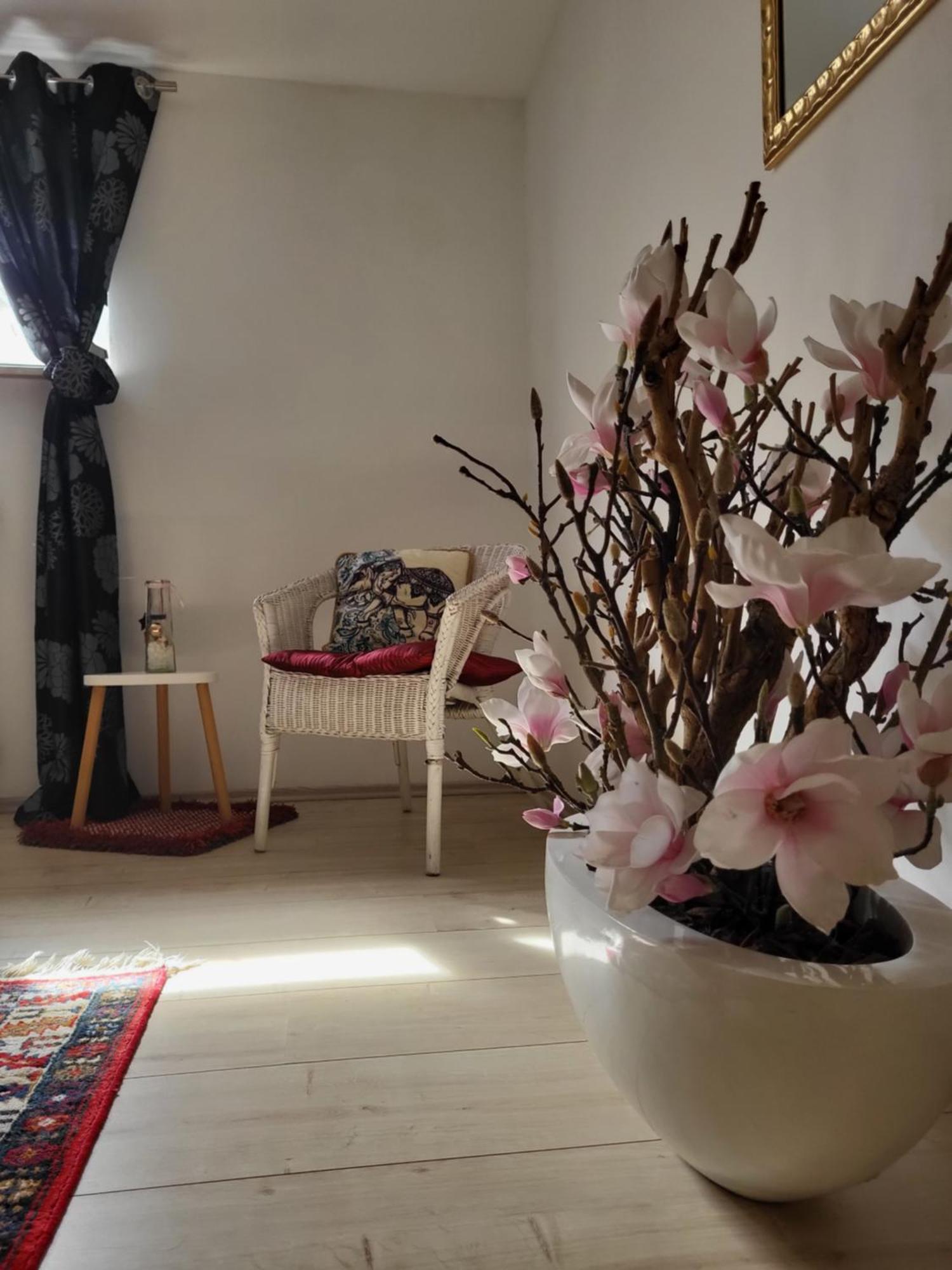 شقة Mandelas Cozy Lounge Schmelz المظهر الخارجي الصورة